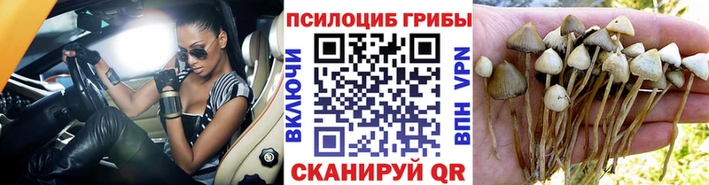 как найти закладки  Беломорск  мега как зайти  Псилоцибиновые грибы MAGIC MUSHROOMS 