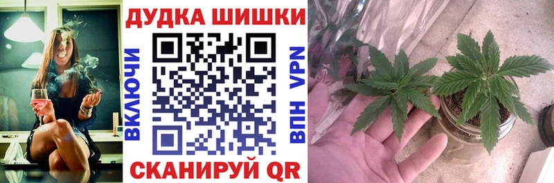 Бошки марихуана индика ссылка на мегу зеркало Беломорск